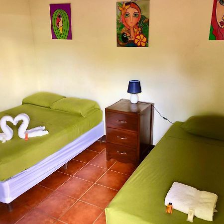 Casa Lula Leon Hostal Dış mekan fotoğraf