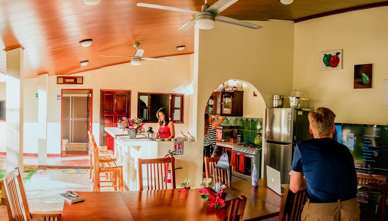 Casa Lula Leon Hostal Dış mekan fotoğraf