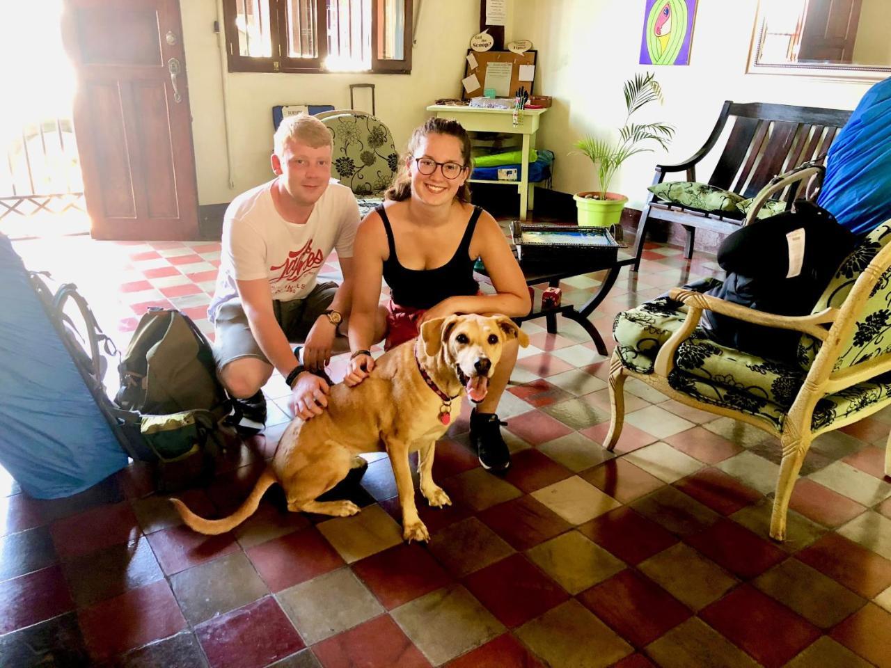 Casa Lula Leon Hostal Dış mekan fotoğraf